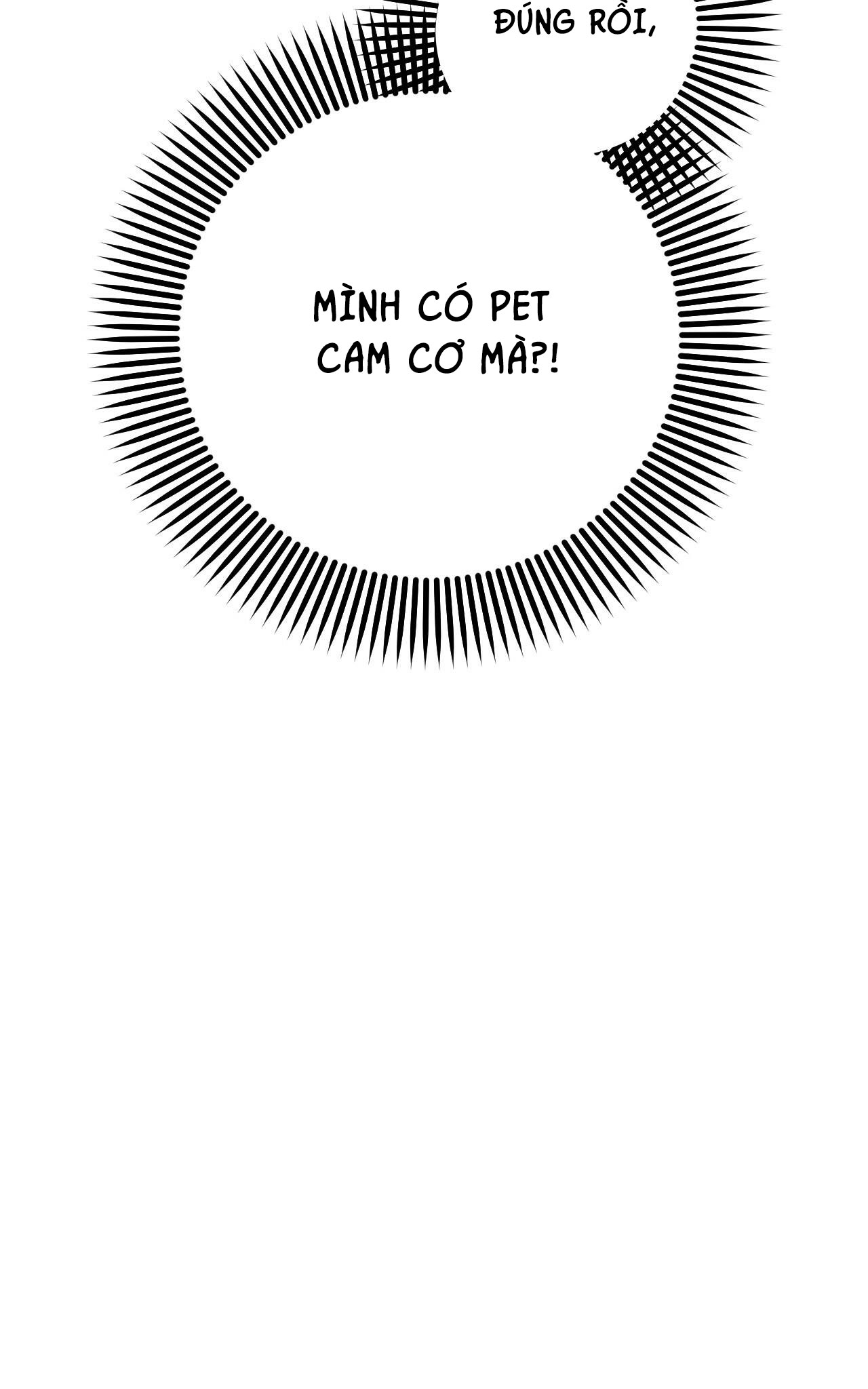 những chú thỏ của hapypy chapter 32 40