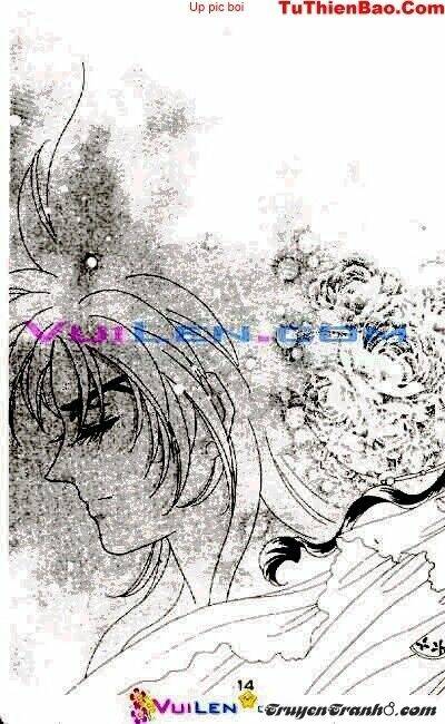 đóa hoa yêu kiều chapter 10 15