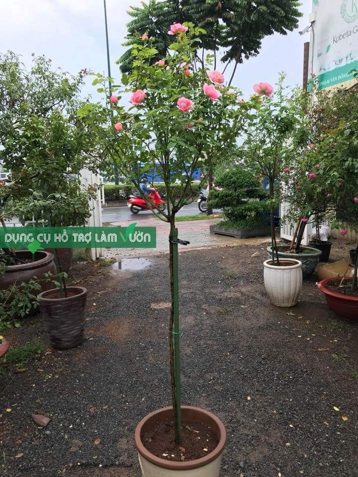 ỐNG LÕI THÉP BỌC NHỰA PHI 16 - SET 10 ỐNG