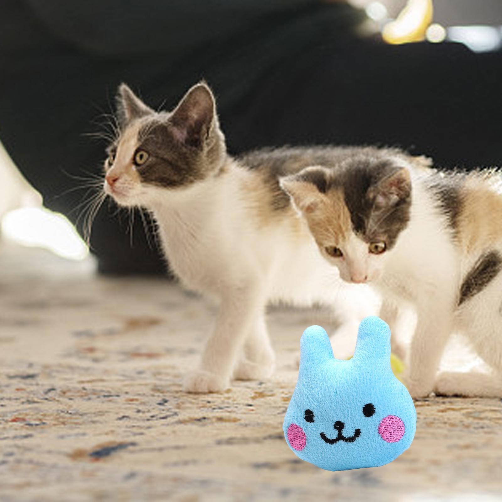 Cats Chew Toys Interactive Cat Toys Cat Pillows Catnip Toys for Indoor Cats