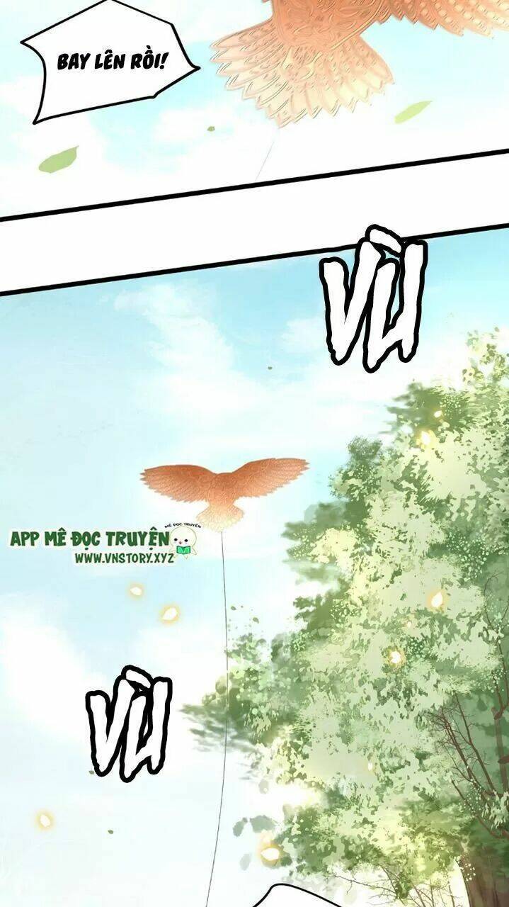 phượng hoàng vu phi chapter 49 12