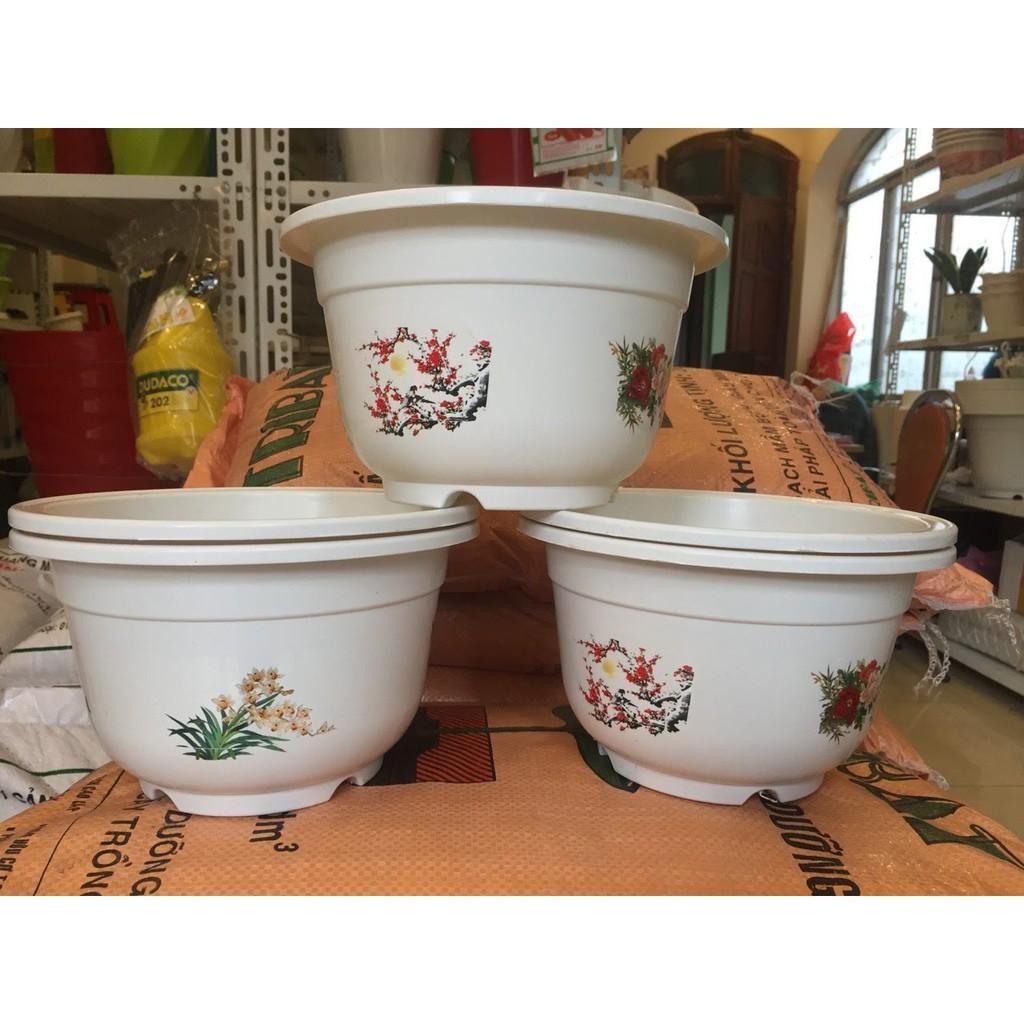 10 CHẬU BỐN MÙA A280 - CHẬU CHUYÊN TRỒNG HOA CÂY CẢNH, CHẤT LƯỢNG CAO, BỀN ĐẸP