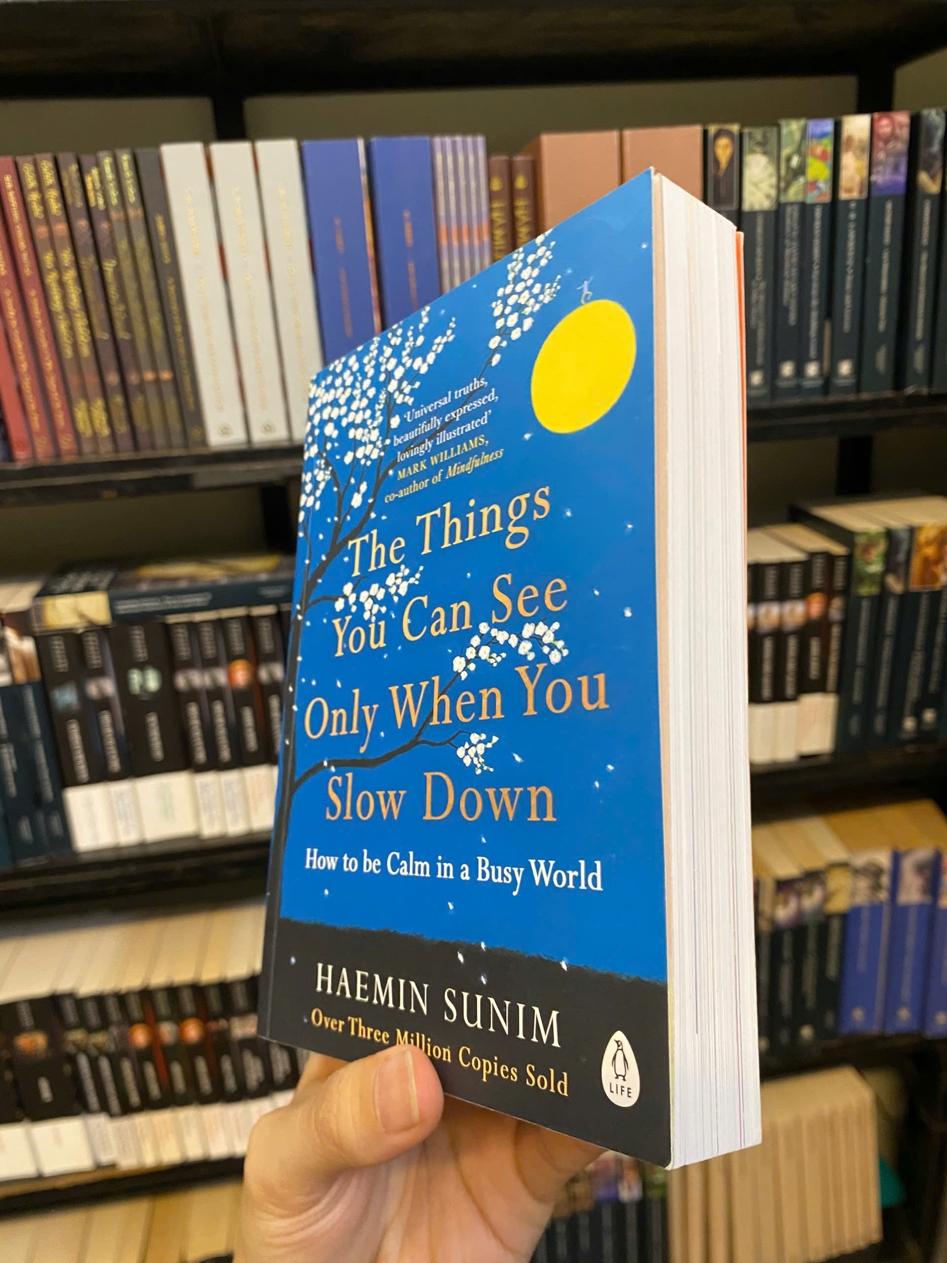 Sách - The Things You Can See Only When You Slow Down: How to Be Calm and Mindful in a Fast-Paced World by Haemin Sunim | Bestseller English Nonfiction