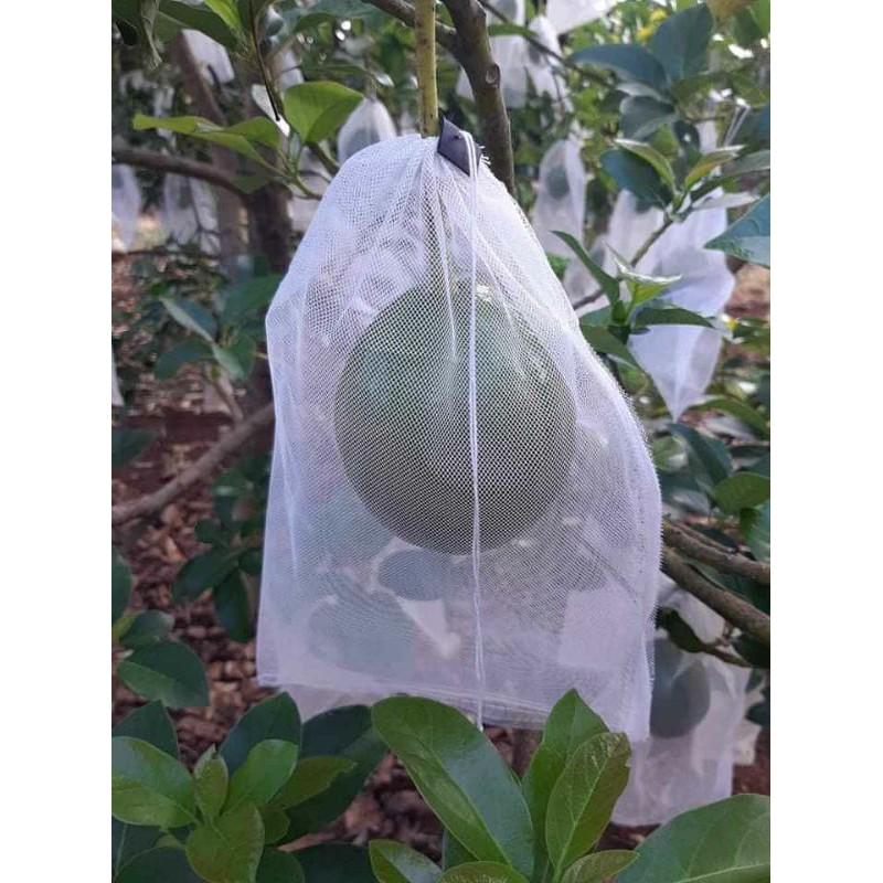 100 cái TÚI BỌC BƠ, ỔI, NA,LÊ,CAM,, CÁC LOẠI TRÁI CÂY 20*25