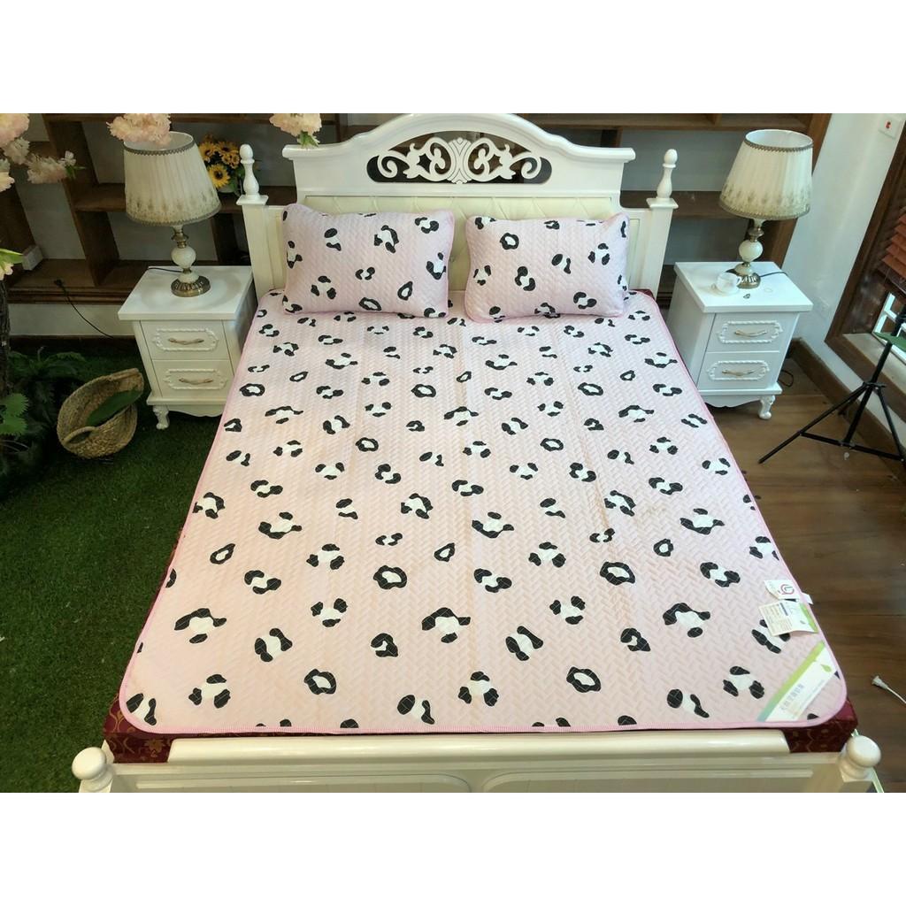 Chiếu điều hòa dành cho mua hè M6, M8, 2M2