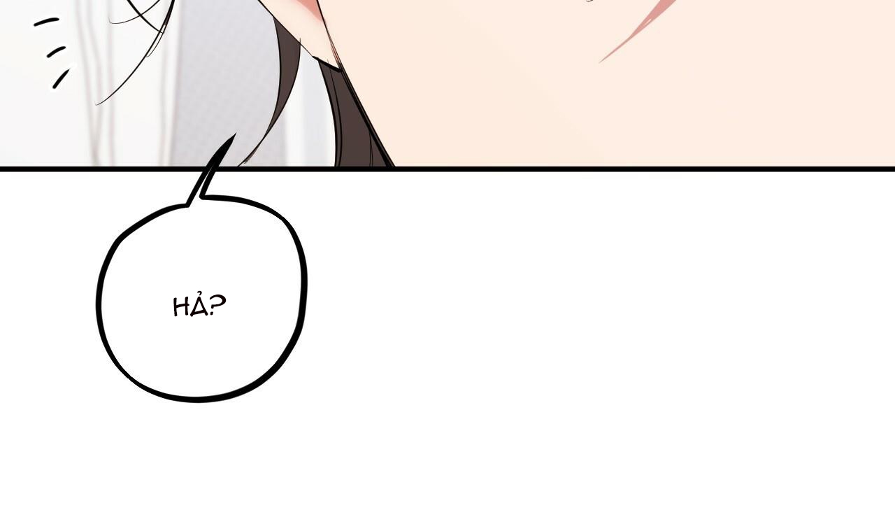 đàn thỏ của habibi chapter 39 27