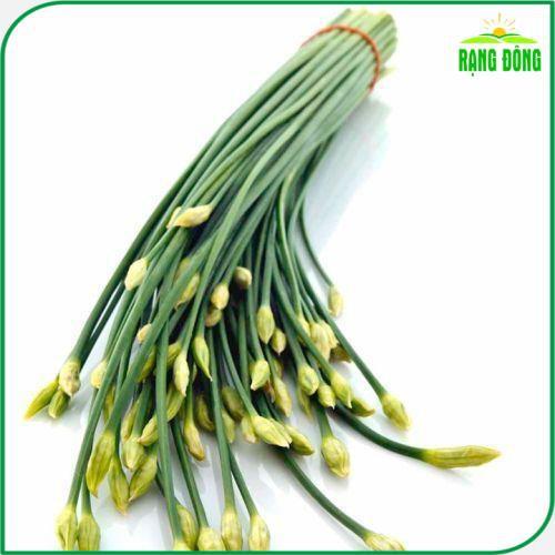 Hạt giống Hẹ Ăn Bông Rado 523 (1g~300 hạt) nảy mầm đều, giàu dinh dưỡng, trồng quanh năm - Hạt giống Rạng Đông