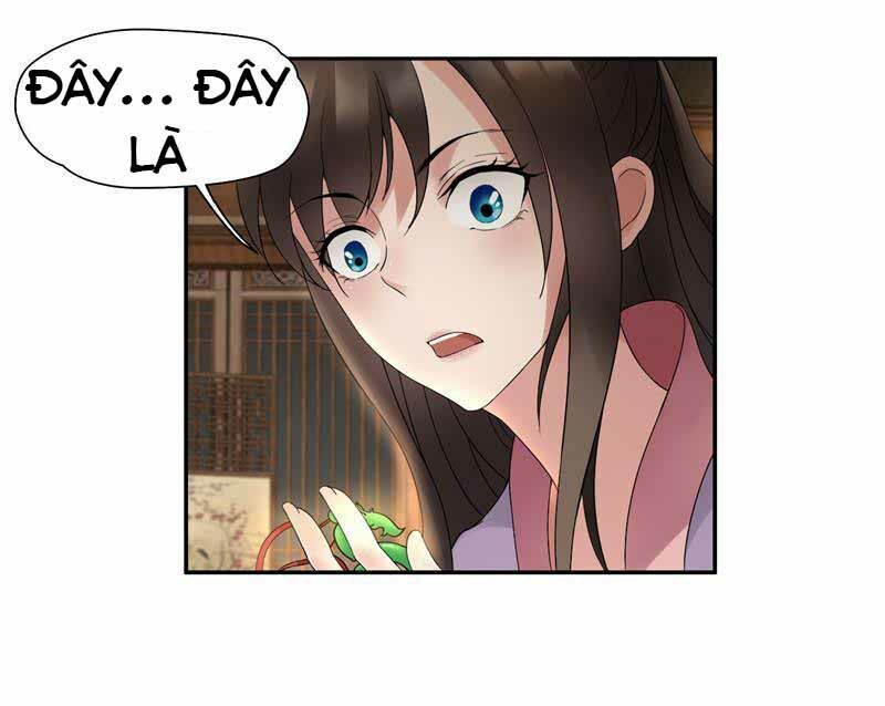 cuồng nữ trọng sinh - hoàn khố thất hoàng phi chapter 19 27