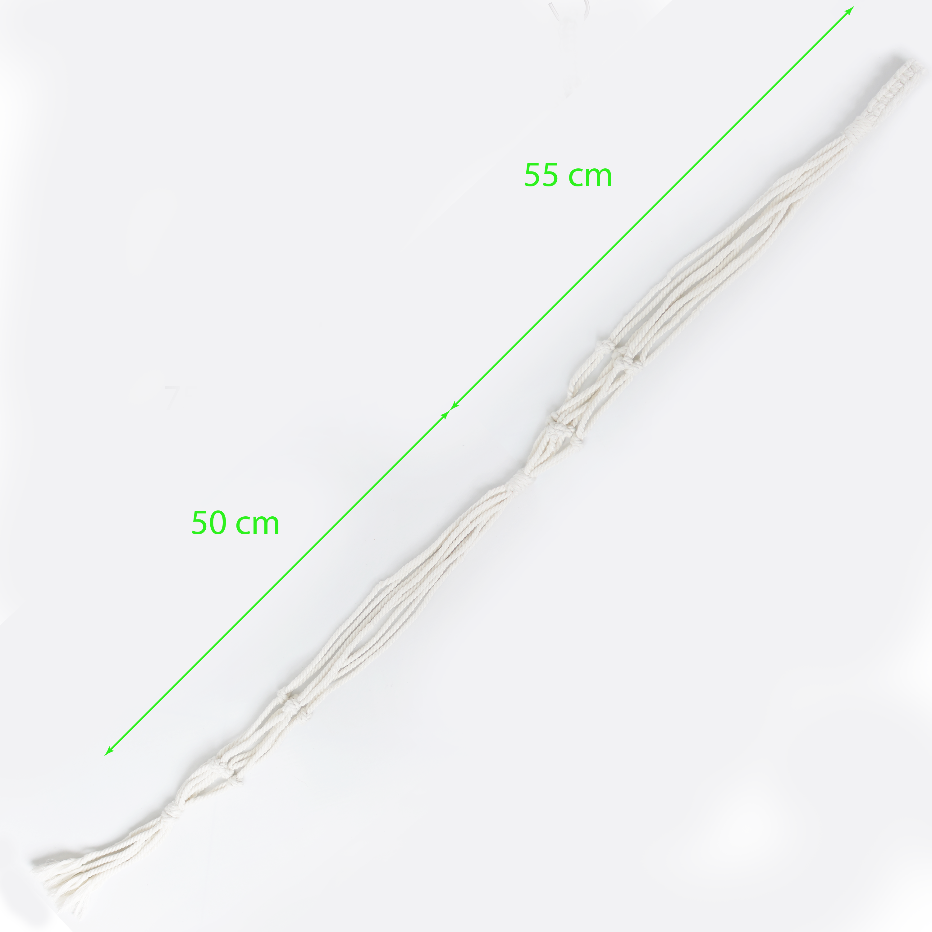 MycoGREEN - Bộ Chậu Gáo Dừa khắc kiểu + Dây treo chậu cây Macrame
