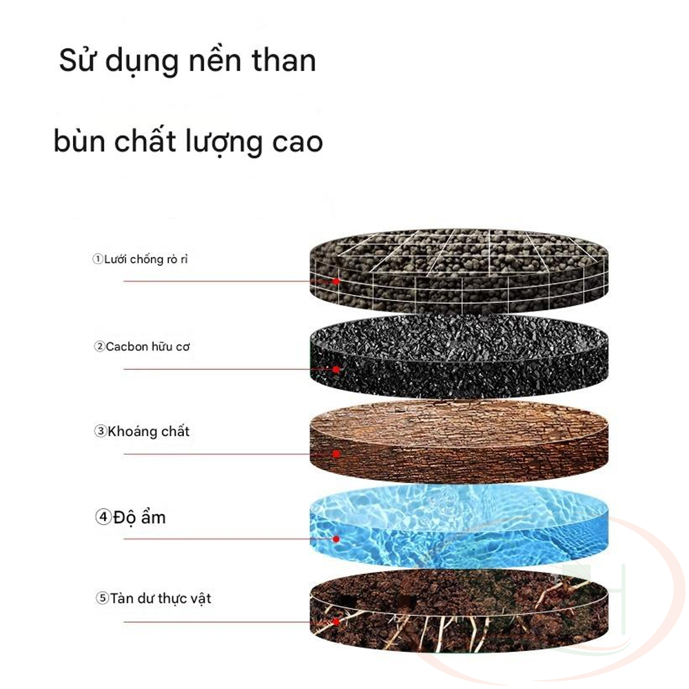 Giá thể trồng cây Tuo Jiang ươm hạt mầm thủy sinh cảnh bán cạn tiểu cảnh