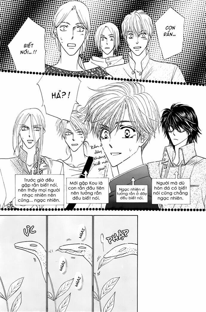 kim cương bạc chapter 13 31