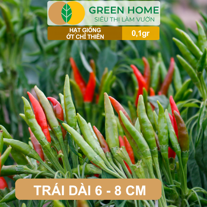 Hạt Giống Ớt Chỉ Thiên GreenHome, Gói 0,1g, Sai Trái, Dễ Trồng, Nảy Mầm Cao, Thu Hoạch G10