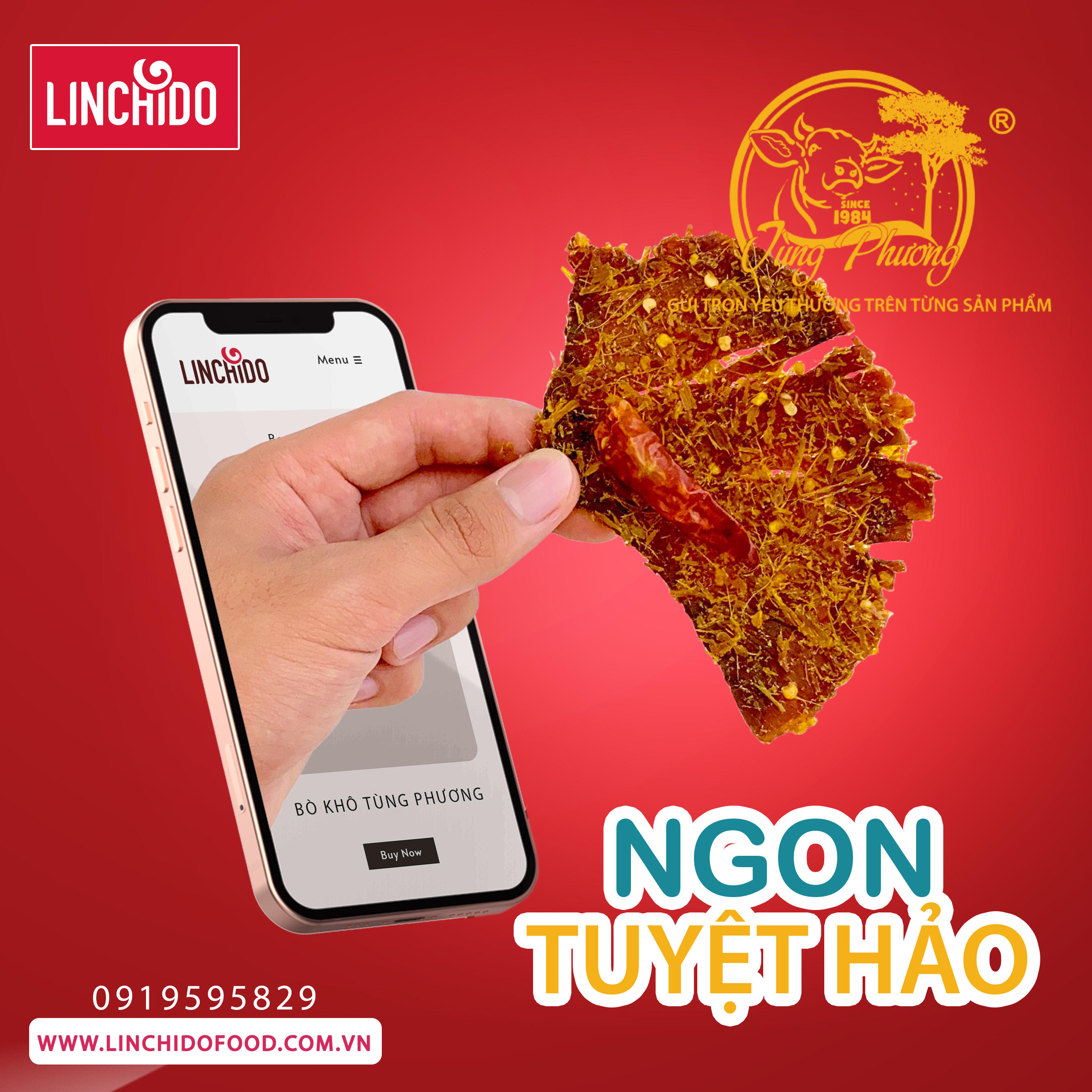 Bò khô miếng _ Tùng Phương Du Ký _ Loại 500 Gram ( HỘP )