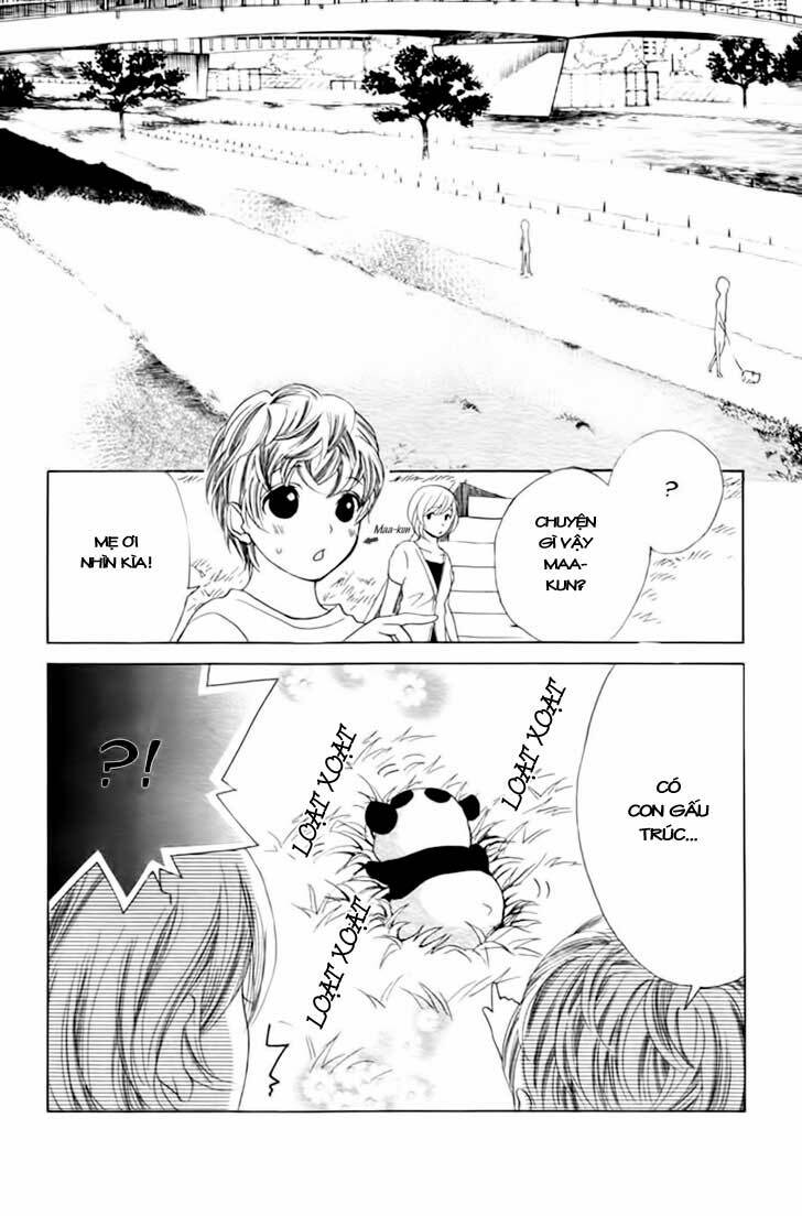 momo lover chapter 8 8