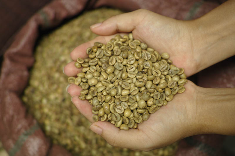 1kg CÀ PHÊ NHÂN ROBUSTA S14 S16
