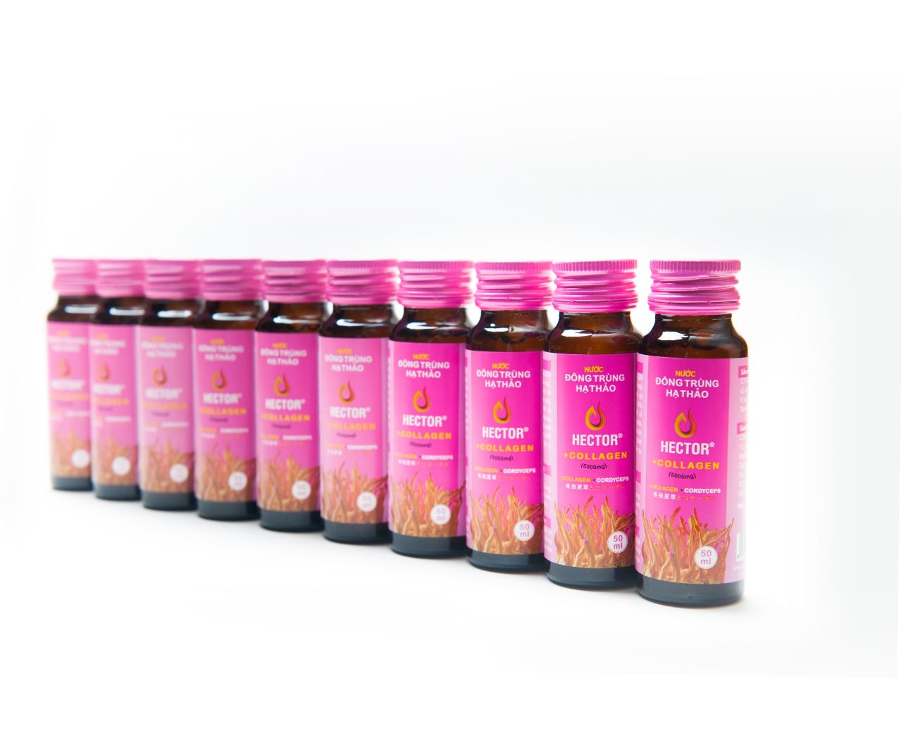 Nước Đông Trùng Hạ Thảo Hector Collagen