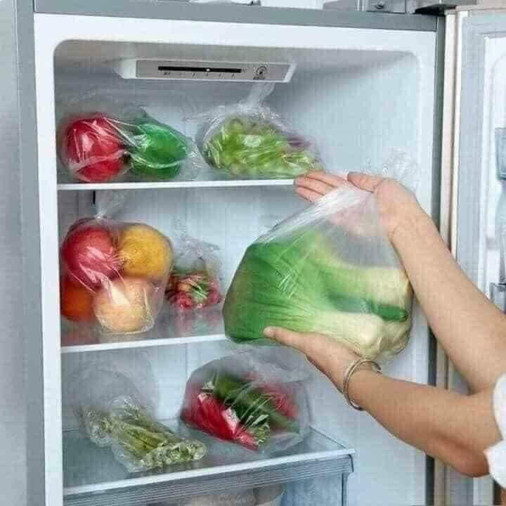 TÚI ĐỰNG THỰC PHẨM TỰ HỦY SINH HỌC ECOOK