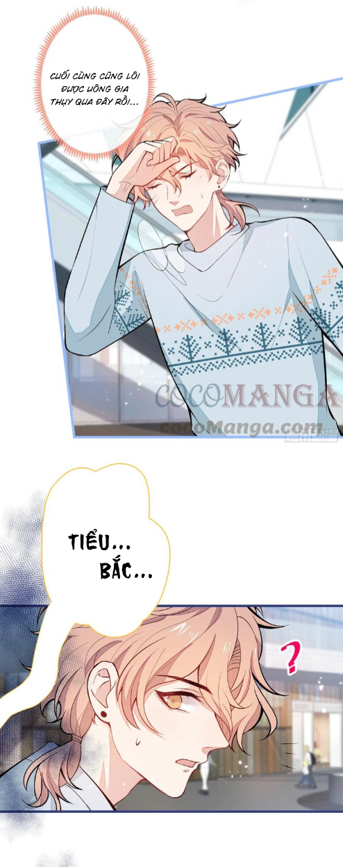 lại bị nam thần chọc trên hot search! chapter 65 8