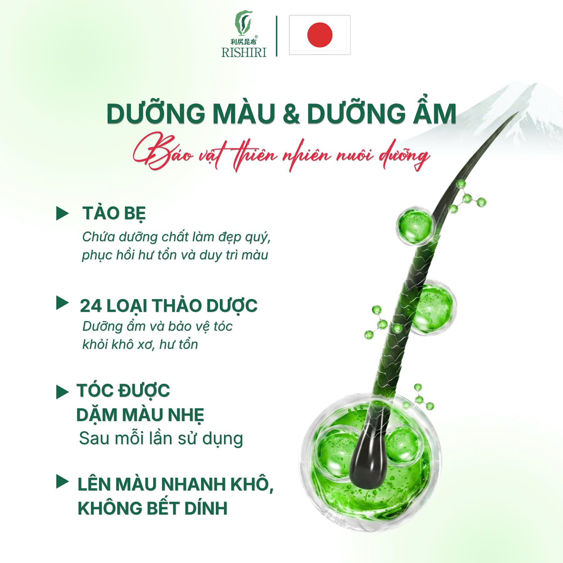 Bút Nhuộm Màu Chân Tóc Tạm Thời Cao Cấp Rishiri Nhật Bản Color Stick 20G