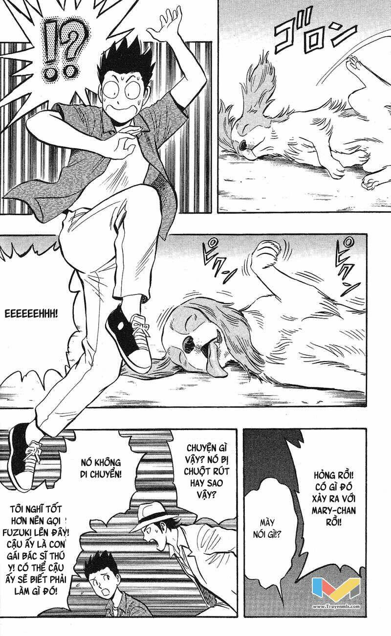 animal sense chapter 5 33