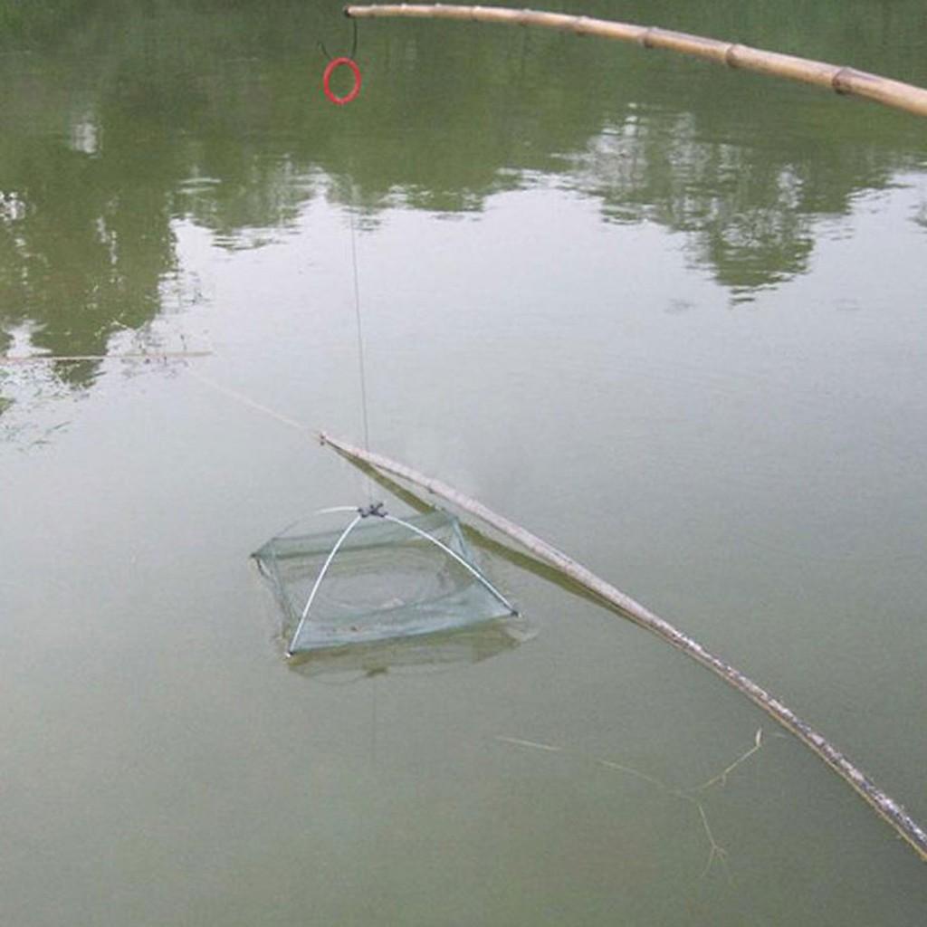 Vó , lồng bắt tôm bắt tép hiệu quả