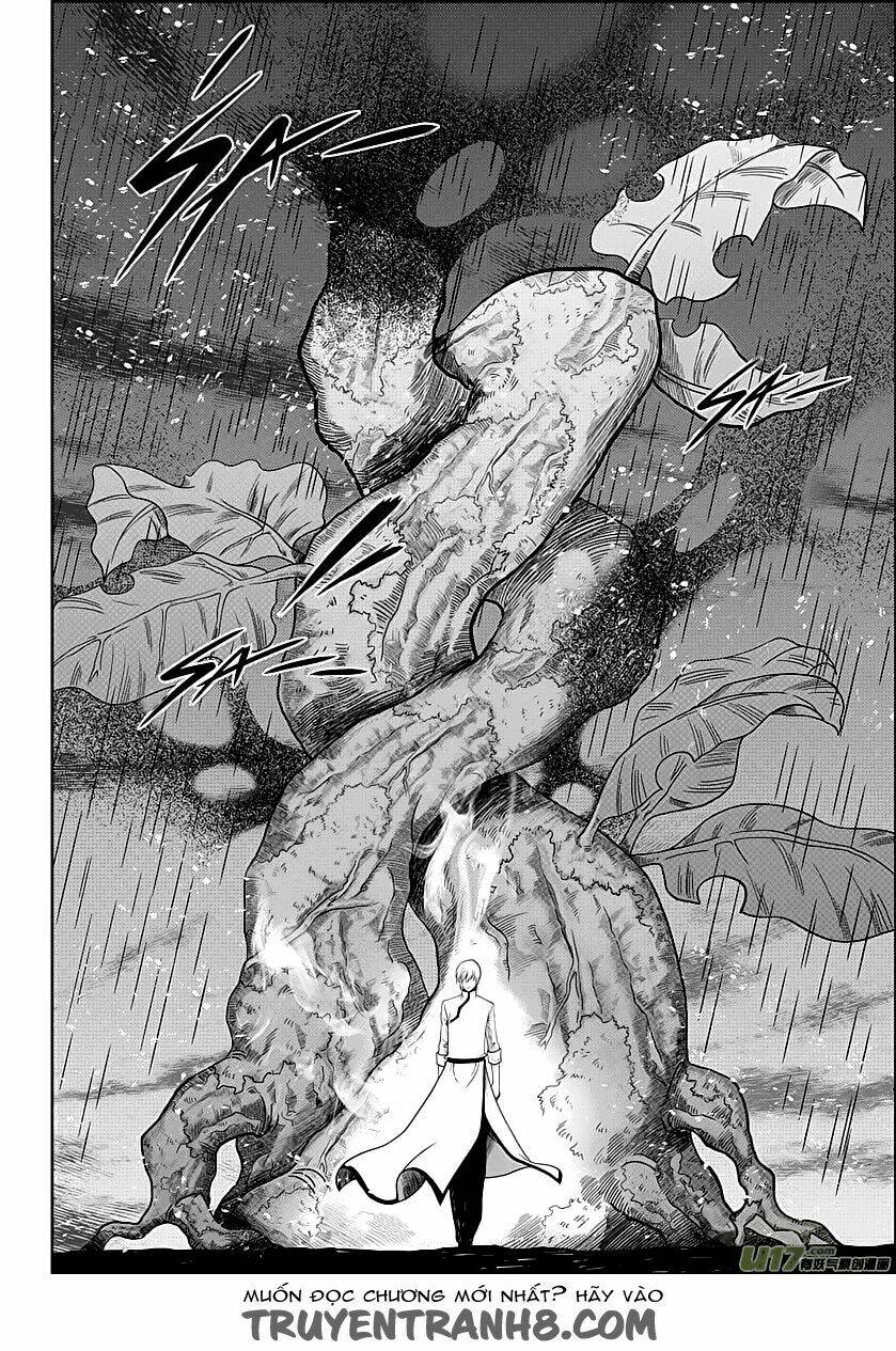 macrophage regulation chapter 7 19