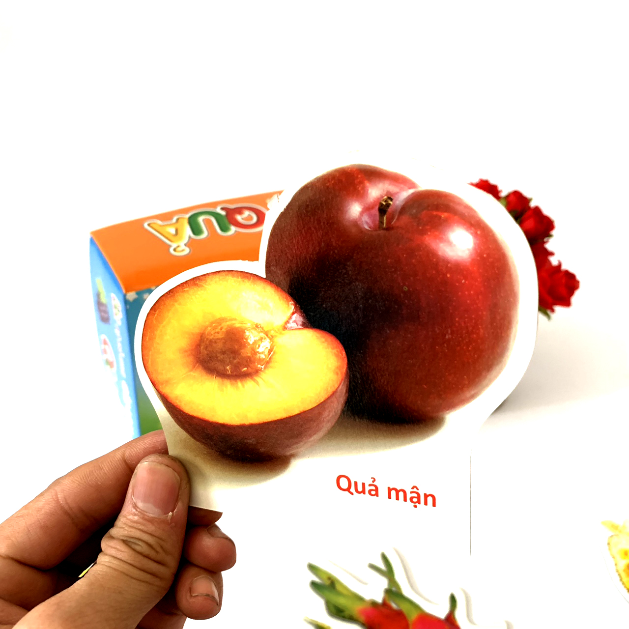 Bộ Thẻ Flashcards Cho Bé Chủ Đề Hoa Quả Song Ngữ Anh-Việt Loại Có Đế Đứng BENRIKIDS-HQ