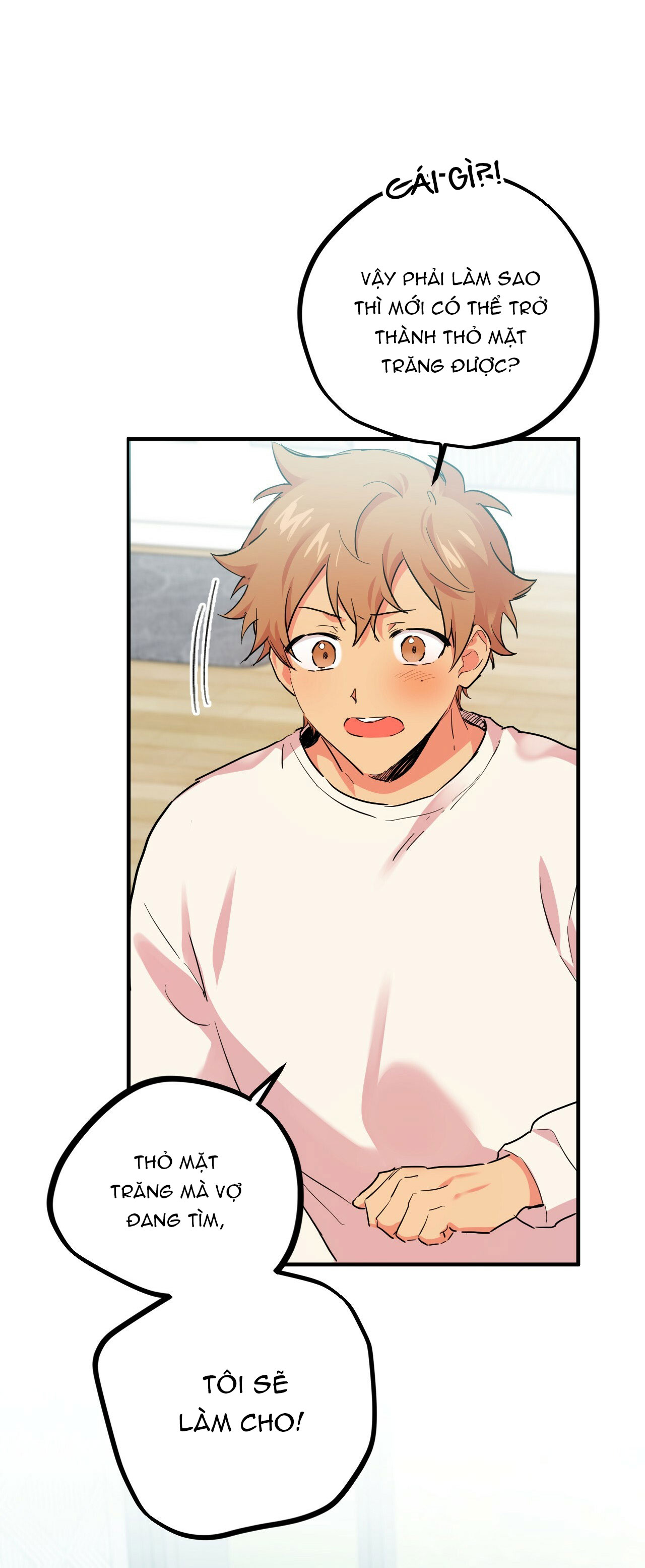 những chú thỏ của hapypy chapter 5 16