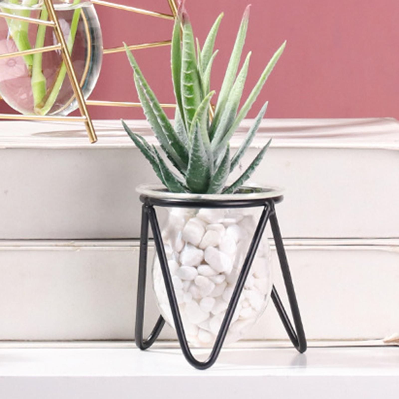 Plant Iron Line Flower Vase  Ornament Home Art Desktop