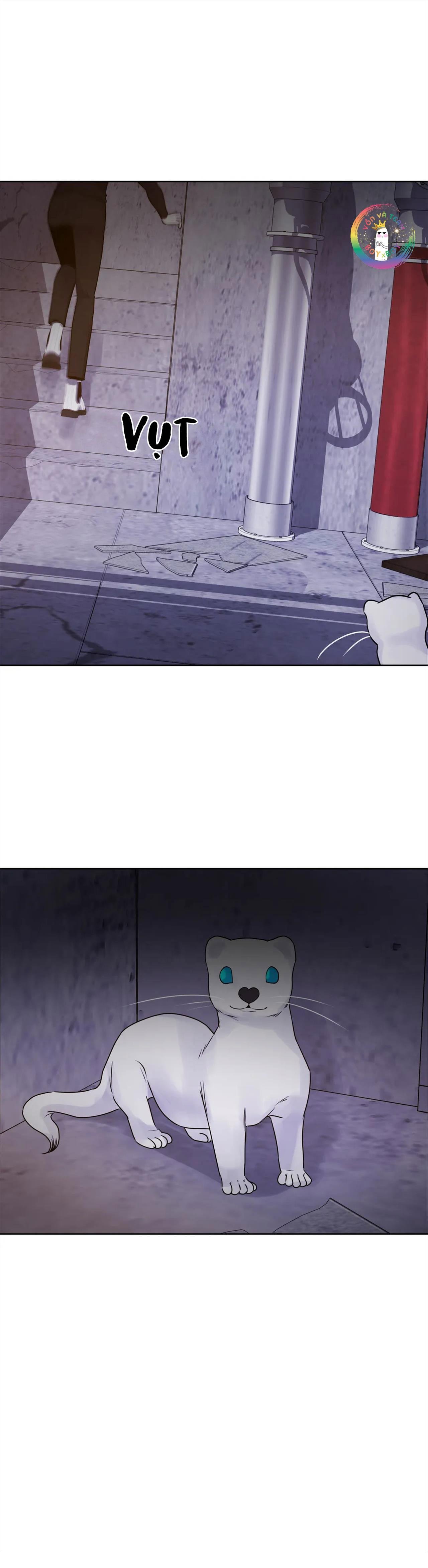 cửu vĩ hồ ly dj - guiding light chapter 11 37