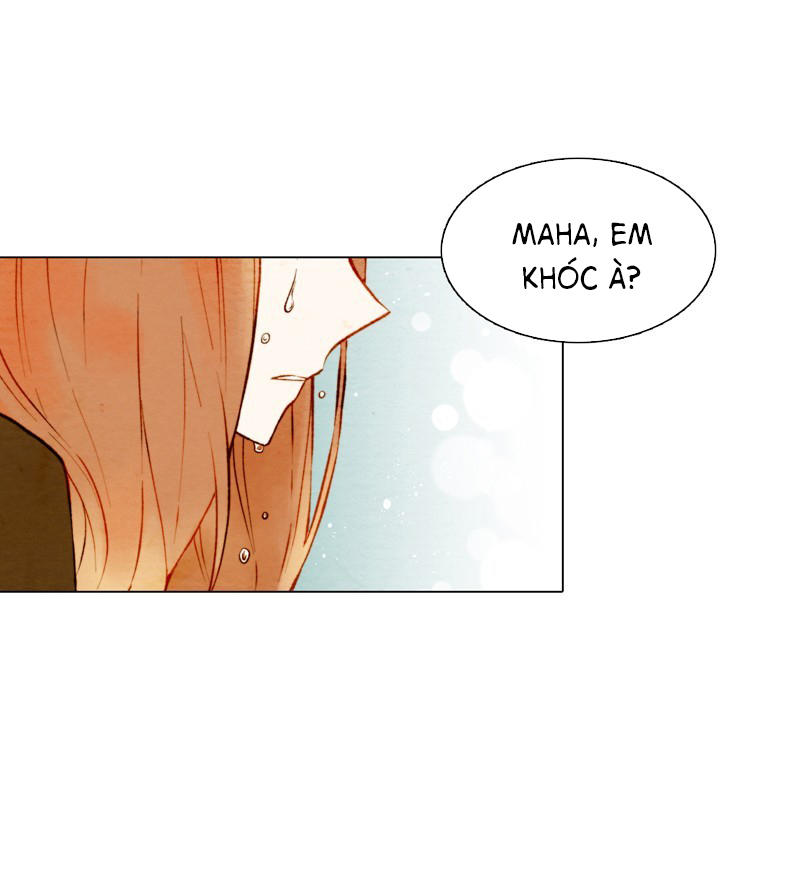 sao chép chapter 7 36