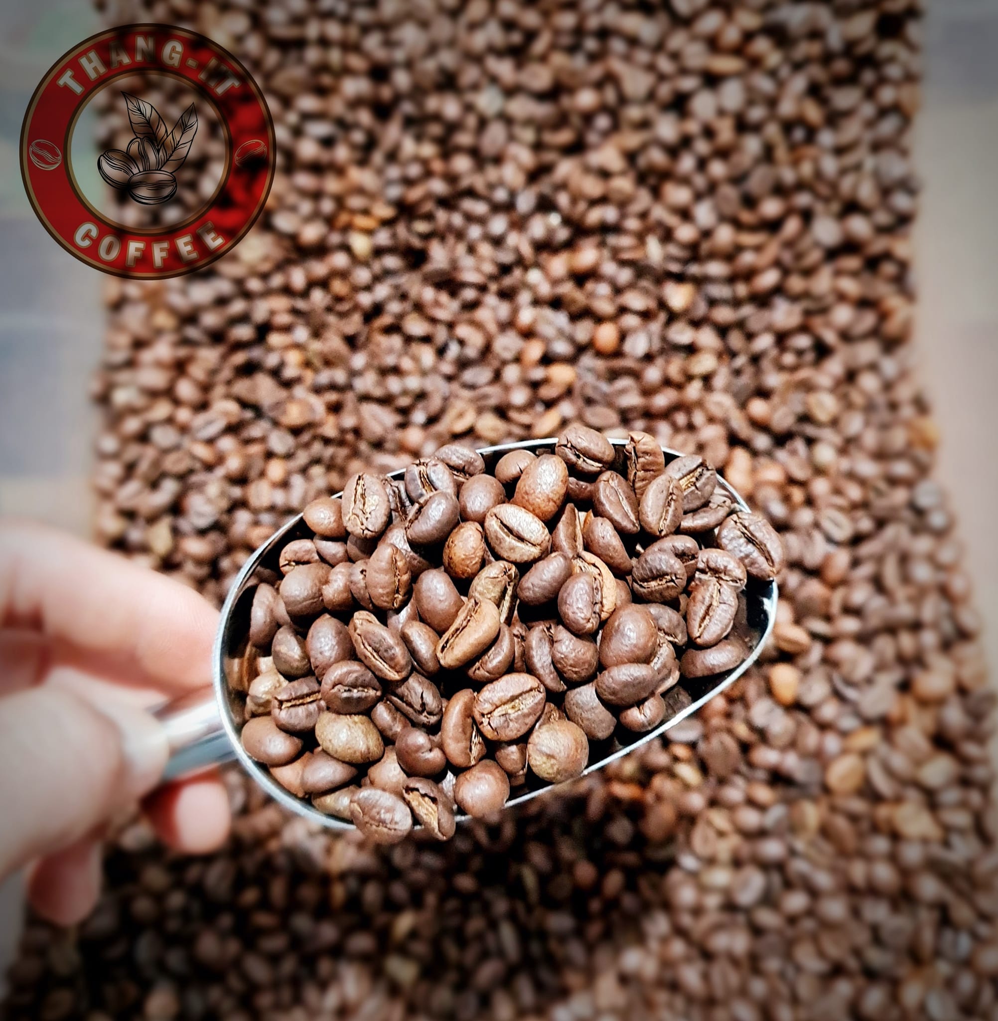 Cà Phê Rang Xay Nguyên Bản - THANG - HT COFFEE (1Kg)