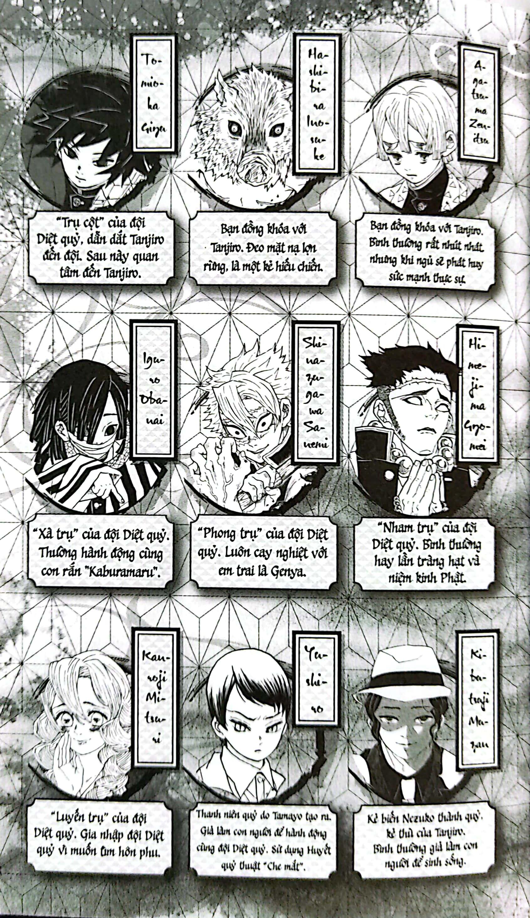 Sách - Thanh Gươm Diệt Quỷ - Kimetsu No Yaiba - Tập 23 - Vượt Qua Tháng Năm, Sinh Mệnh Tỏa Rạng (Tái Bản 2025)