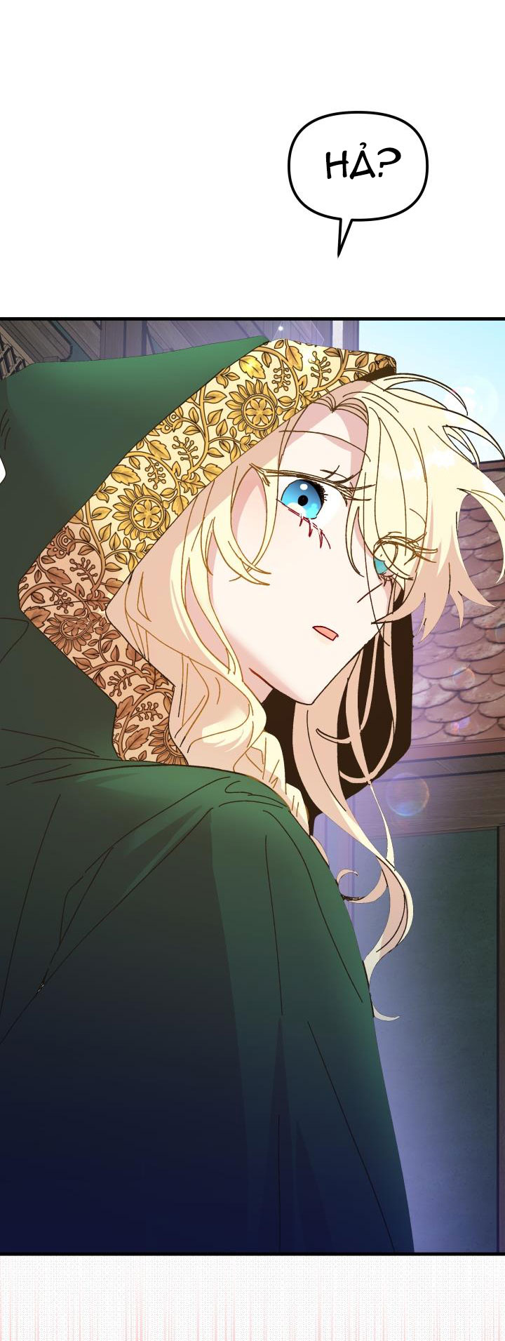 công chúa giả điên chapter 60.2 9