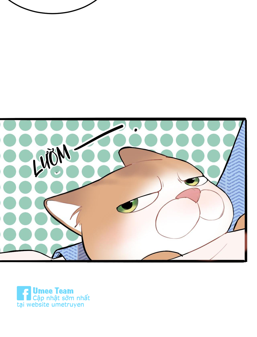 rốt cuộc bé mèo đang nghĩ gì ? chapter 11 17