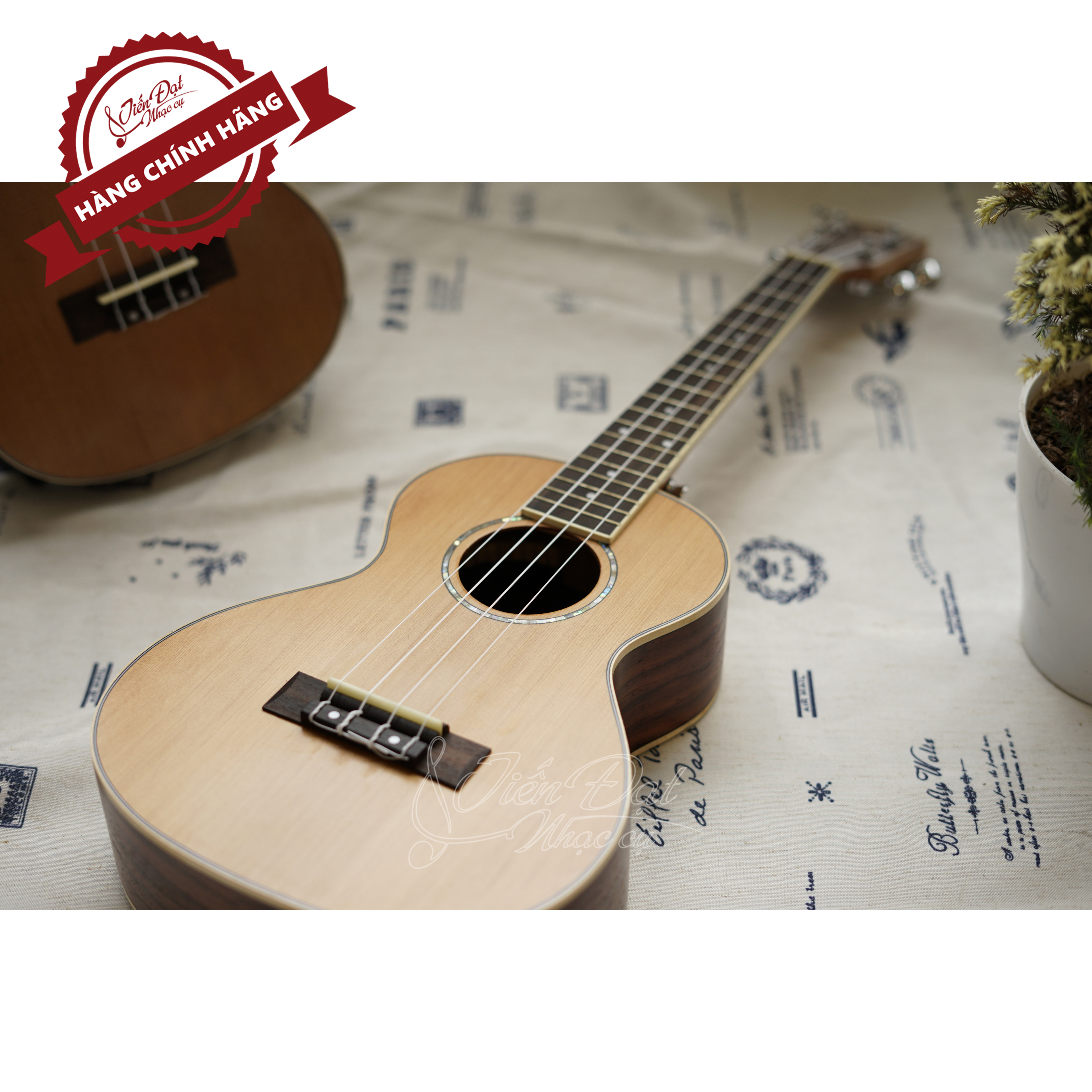 Đàn Ukulele Concert CHARD U-24D, Gỗ Tuyết Tùng, Cổ Điển - Hàng Chính Hãng