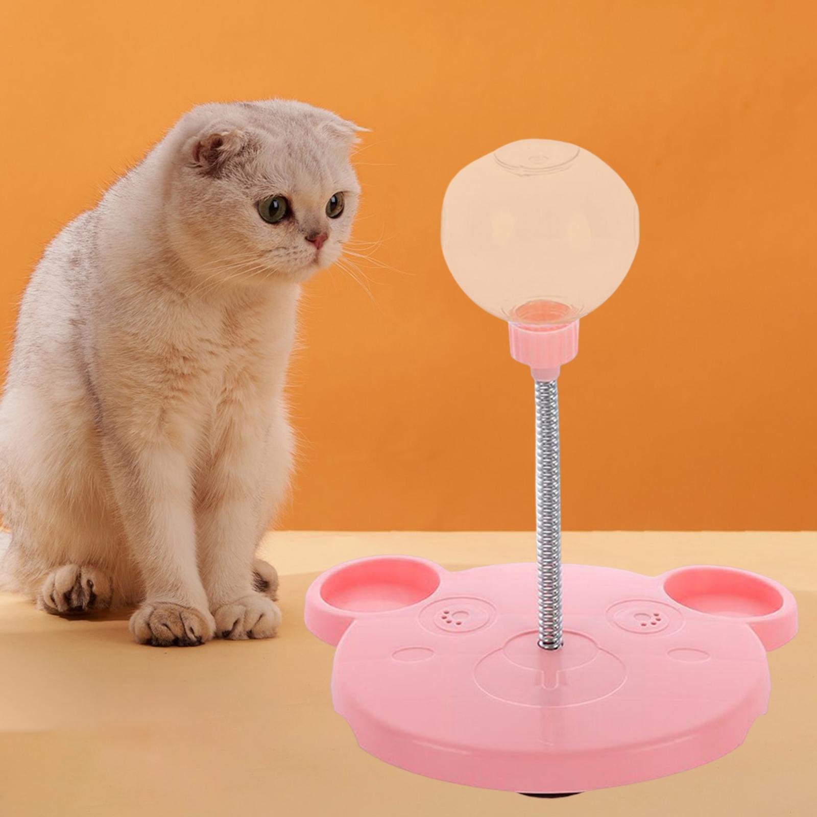 Cat Slow Feeder Toy for Pet Training Exercise