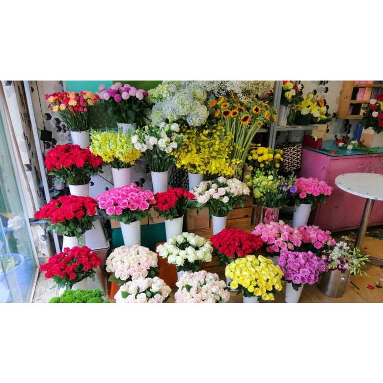 SET 10 Gói Dưỡng Chất Cho Hoa Lâu Tàn KIF FLORA FRESH