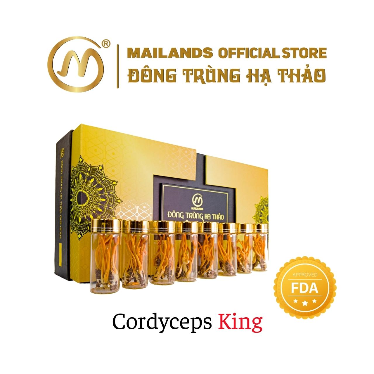 Đông Trùng Hạ Thảo Cordyceps KING