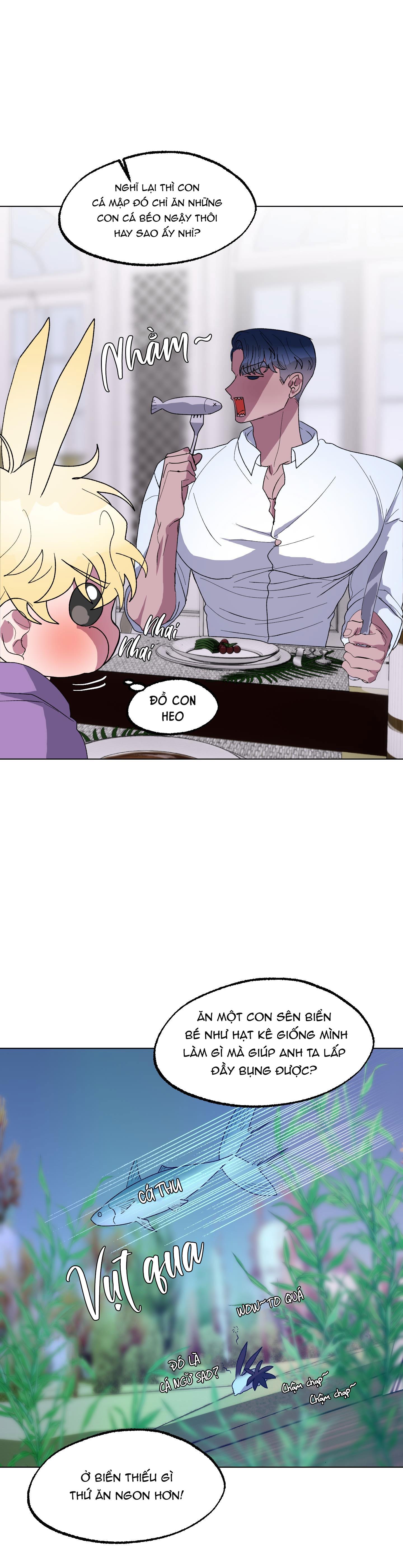 cá mập và cô dâu thỏ chapter 14 12