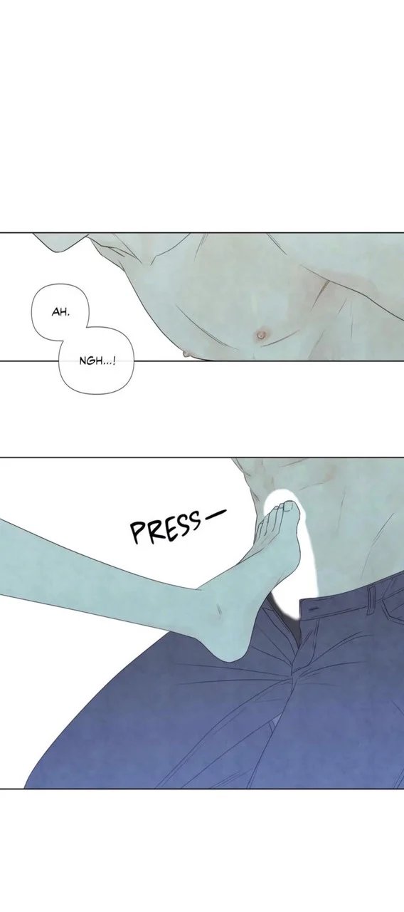 summer solstice point chapter 23 8