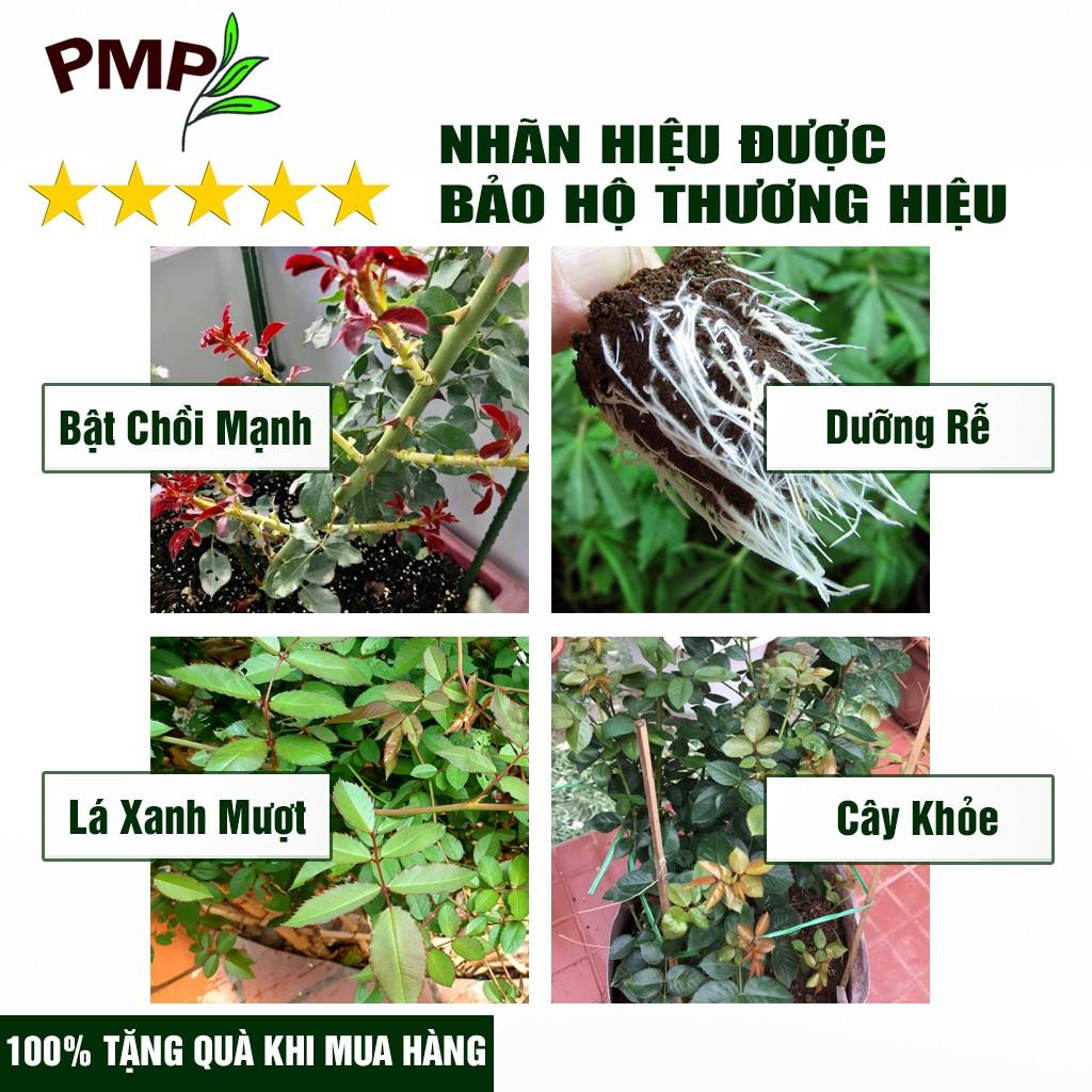 Combo 2 Chai Phân SOYMIC PMP Siêu Phân Bón Ủ Vi Sinh Từ Đậu Nành, Trứng, Chuối, Vi Lượng Cho Hoa Hồng, Rau Sạch