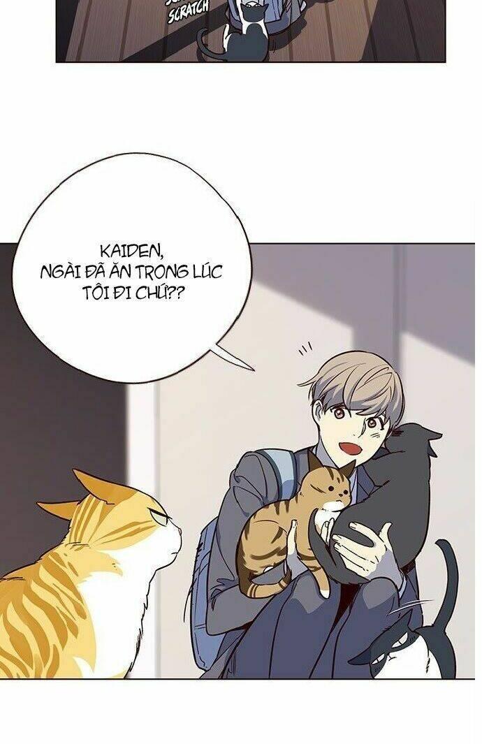 biến thân thành mèo chapter 7 50