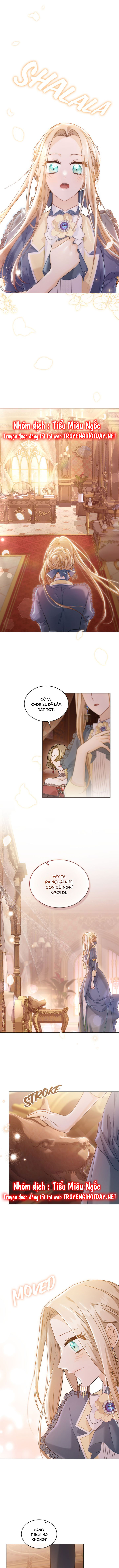 hải tặc thượng lưu chapter 31 7