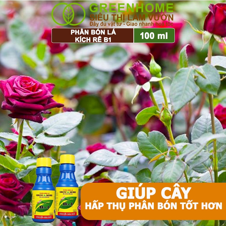 Phân Bón Kích Rễ, Greenhome, B1, Chai 100ml, Tạo Mầm, Rễ Khoẻ, Sai Hoa, Phục Hồi Rễ Yếu, Lá Dày