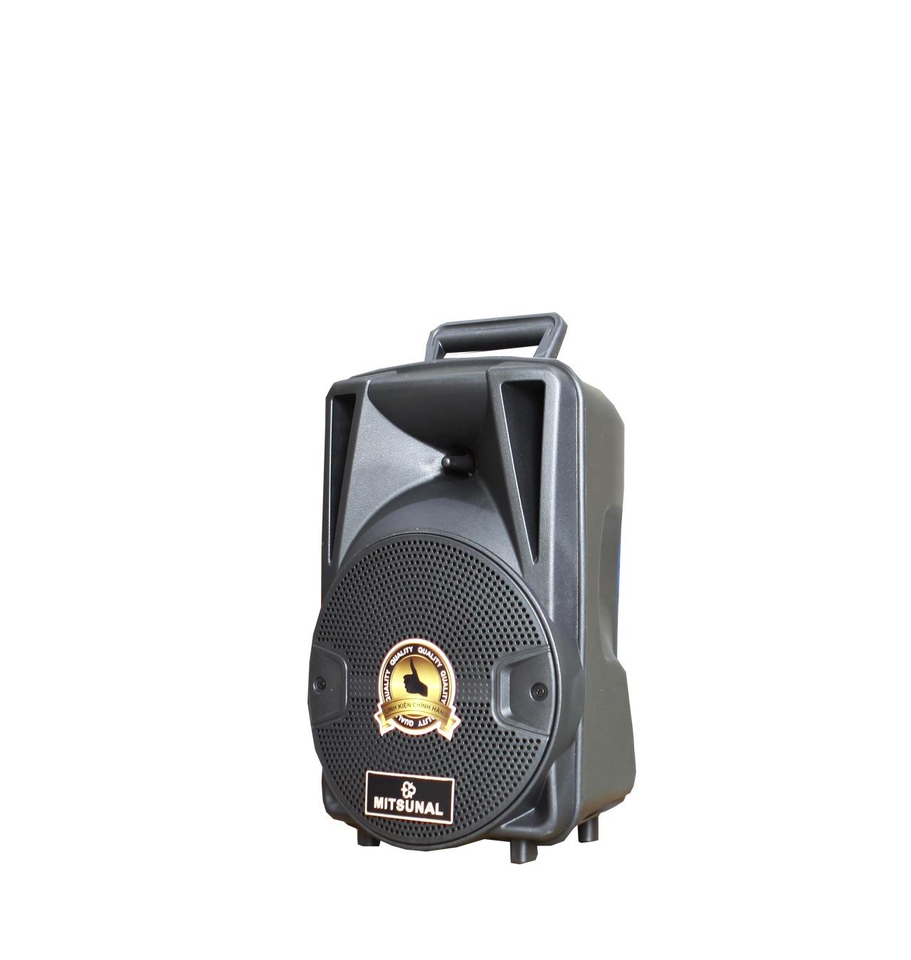 Loa kéo di động Mitsunal T801-Bass 20 - Hàng chính hãng