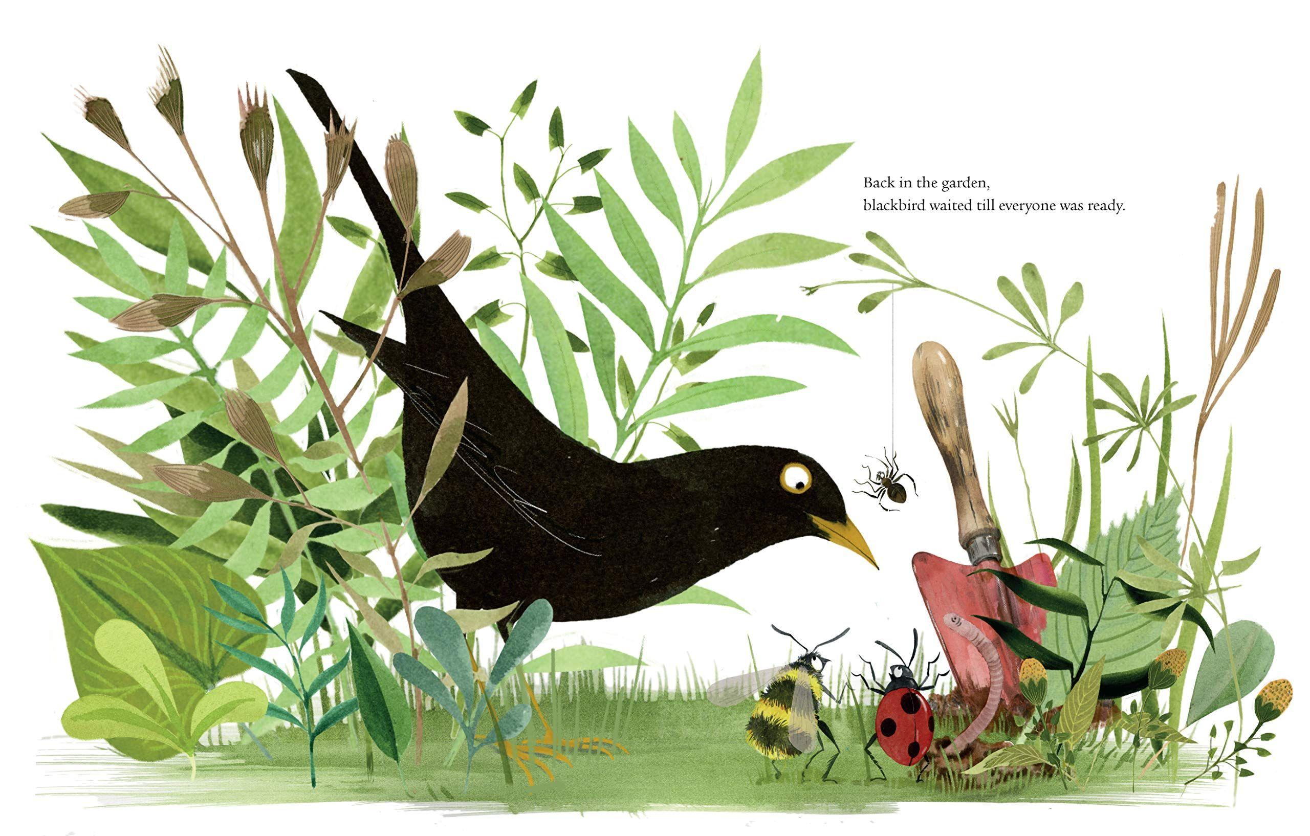 Sách - A Song of Gladness : A Story of Hope for Us and Our Pla by Michael Morpurgo EMILY GRAVETT