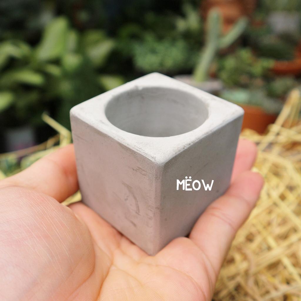 Chậu xi măng | Chậu trồng cây mọng nước, sen đá, xương rồng