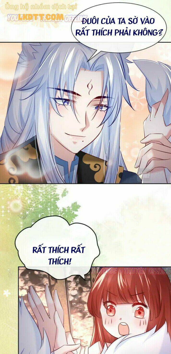 hắc hóa nam chính trực tuyến nuôi thỏ chapter 32 11