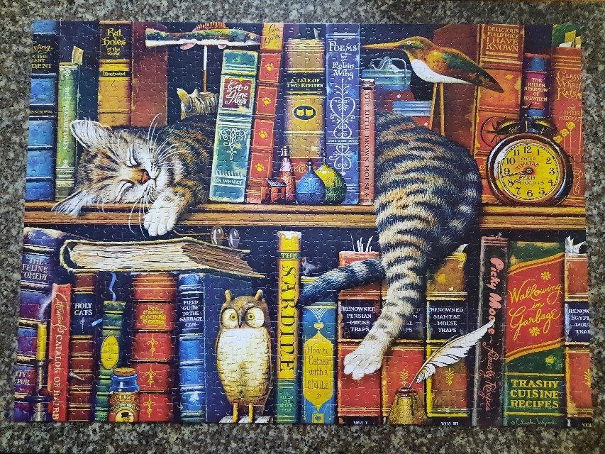 Mèo trên giá sách/Tranh Ghép Hình 1000 Mảnh Giấy KT 70x50cm/Puzzle 1000 Mảnh